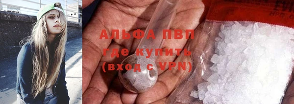 прущая мука Корсаков