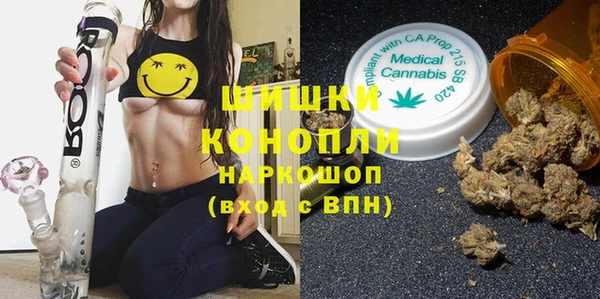 прущая мука Корсаков