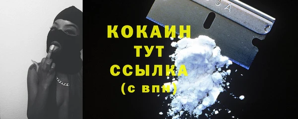 a pvp Коряжма