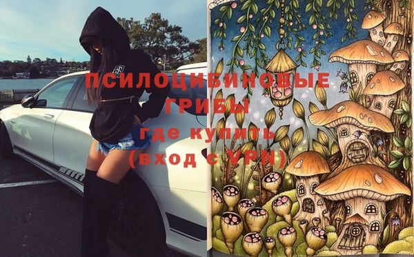 a pvp Коряжма