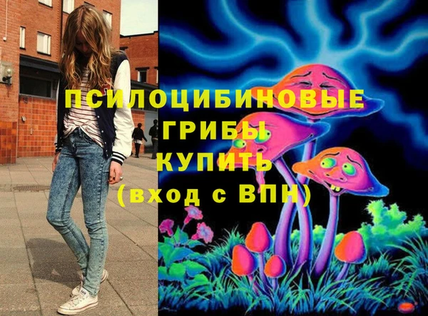 a pvp Коряжма