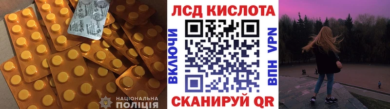 Купить закладки  Губаха  ЛСД экстази ecstasy 