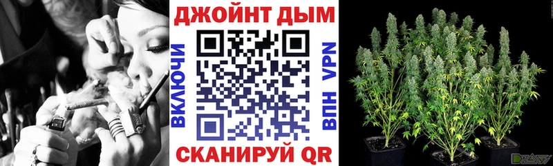 Купить где  Губаха  Бошки марихуана план 